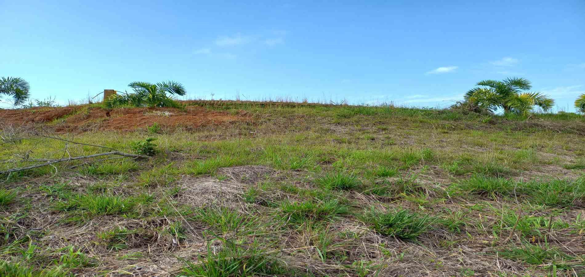 Foto de Lote / terreno en Venta en Cerritos, Pereira - 8 - 279067404