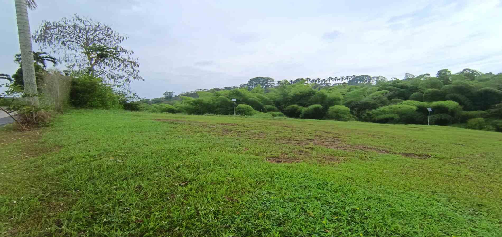 Foto de Lote / terreno en Venta en Vereda la trinidad, Manizales - 1 - 279069692