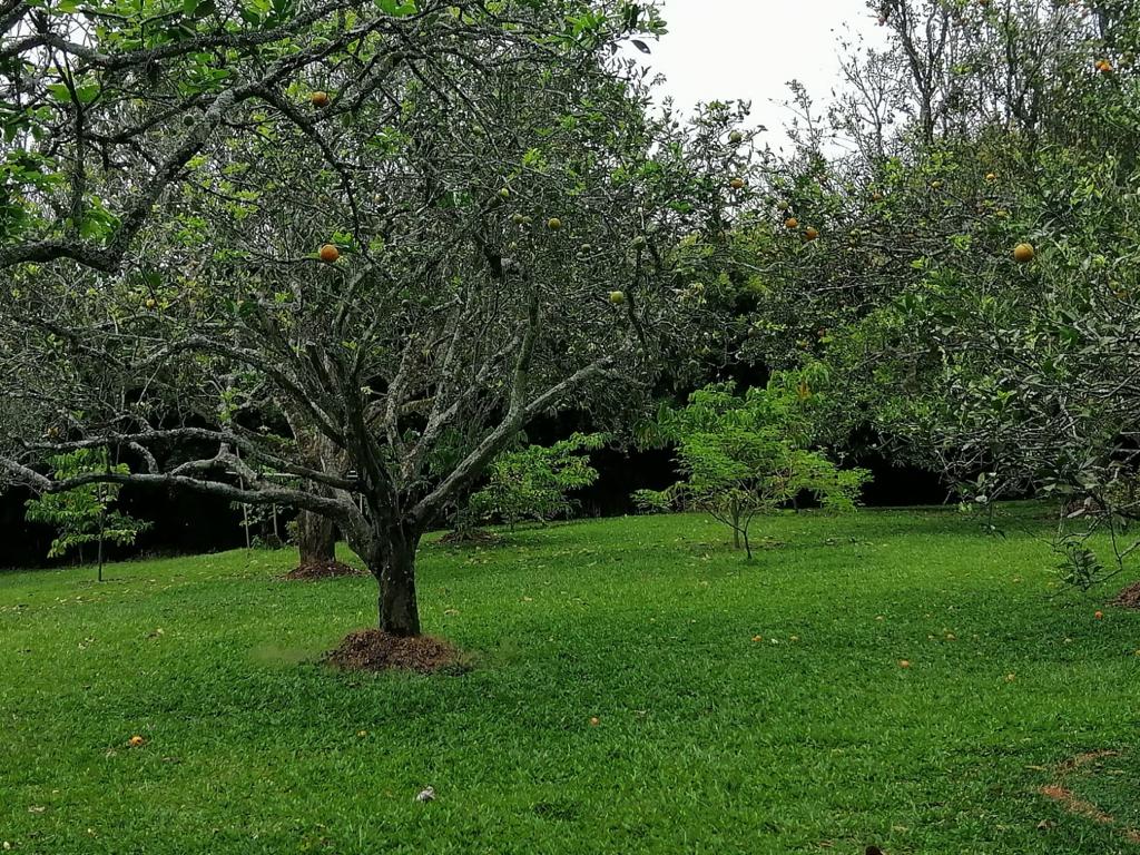 Foto de Lote / terreno en Venta en Cerritos, Pereira - 3 - 279025576