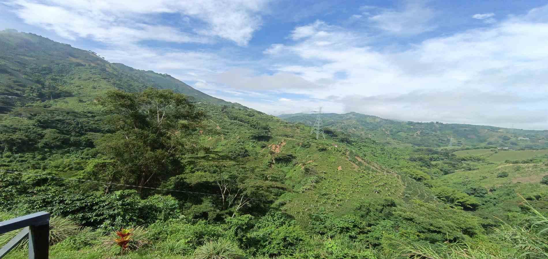 Foto de Finca en Venta en El descanso, Neira - 32 - 279063080