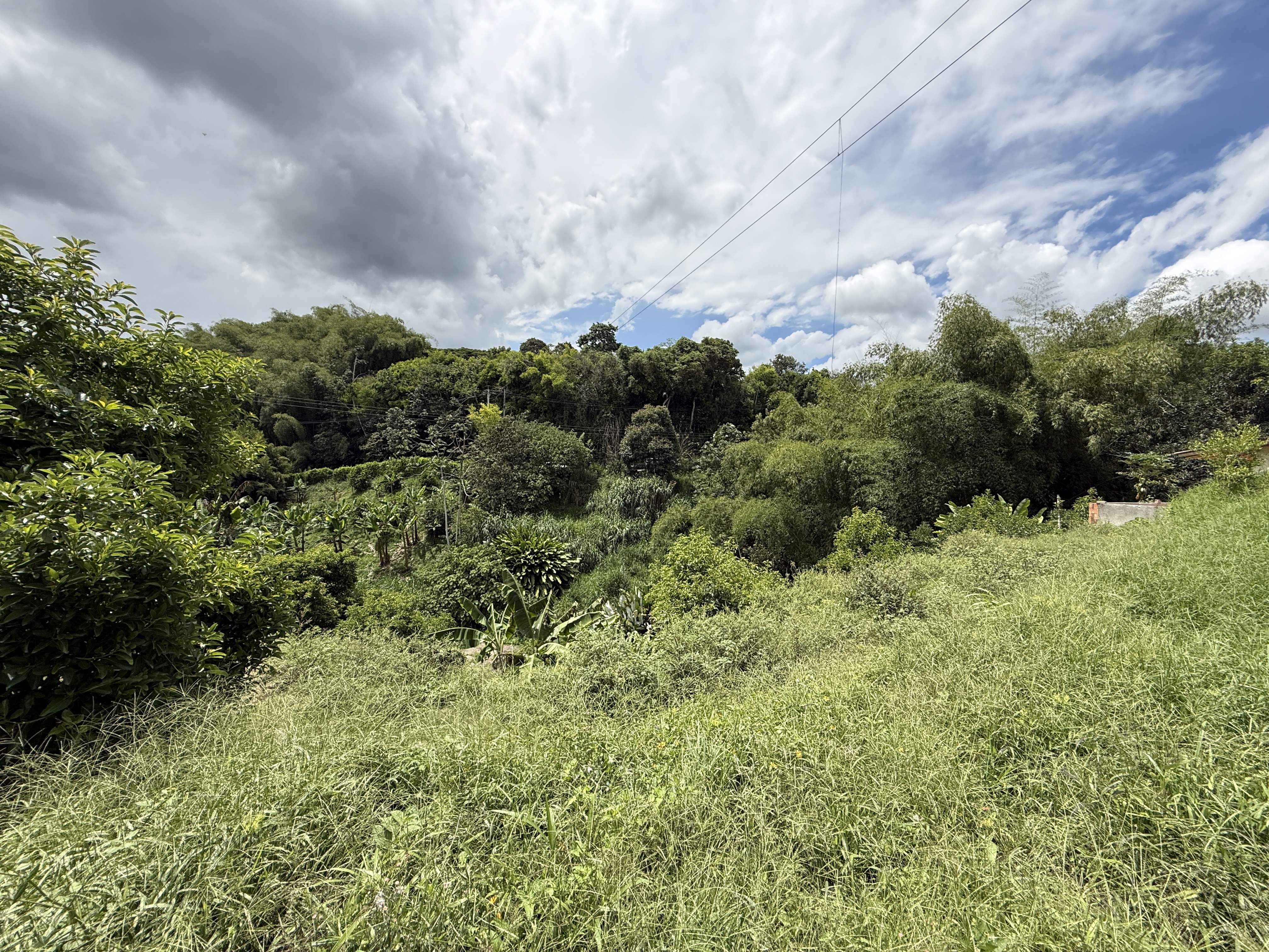 Foto de Lote / terreno en Venta en Cuba , Pereira - 4 - 279065163