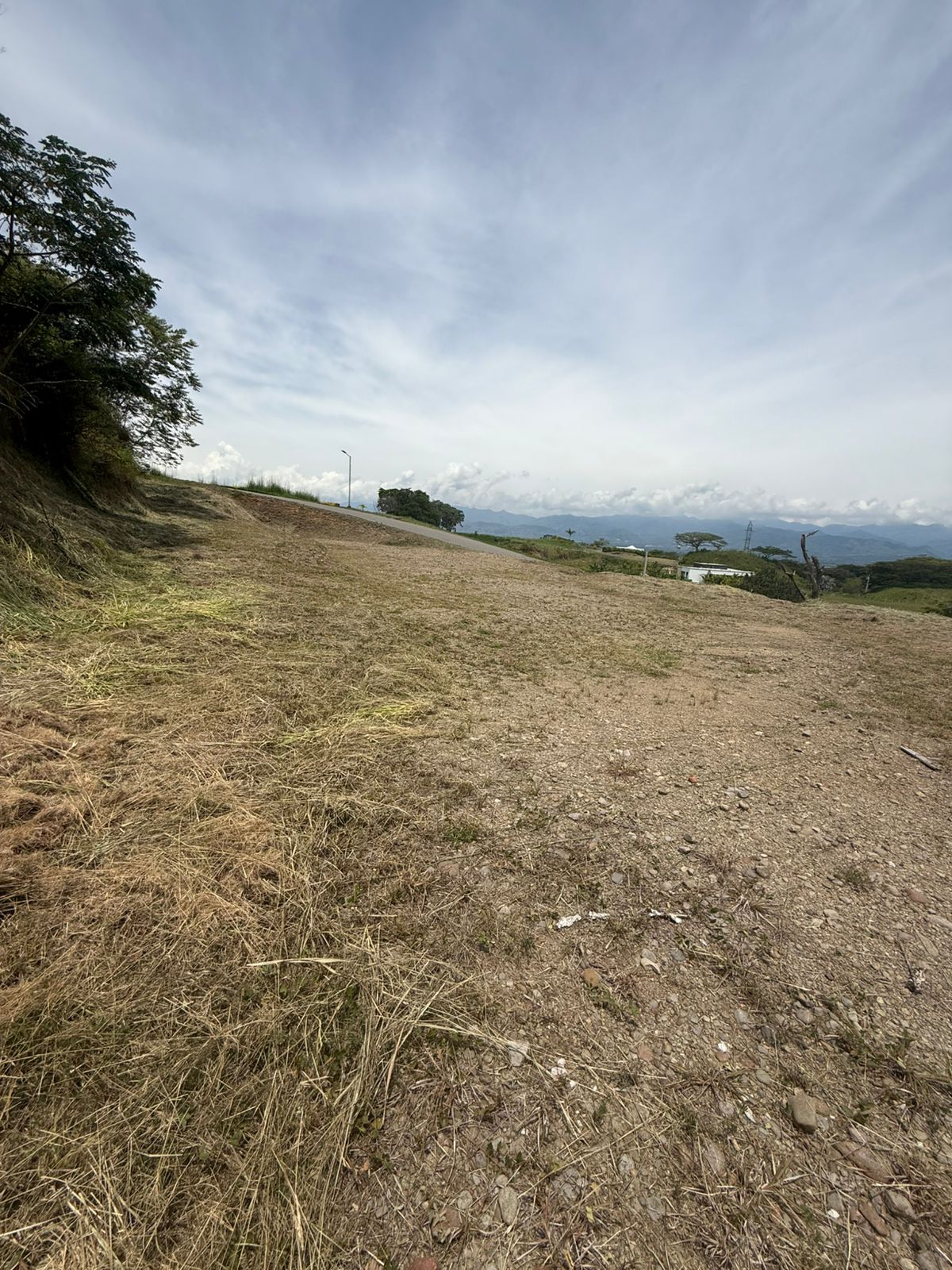 Foto de Lote / terreno en Venta en Cerritos, Pereira - 23 - 279065028