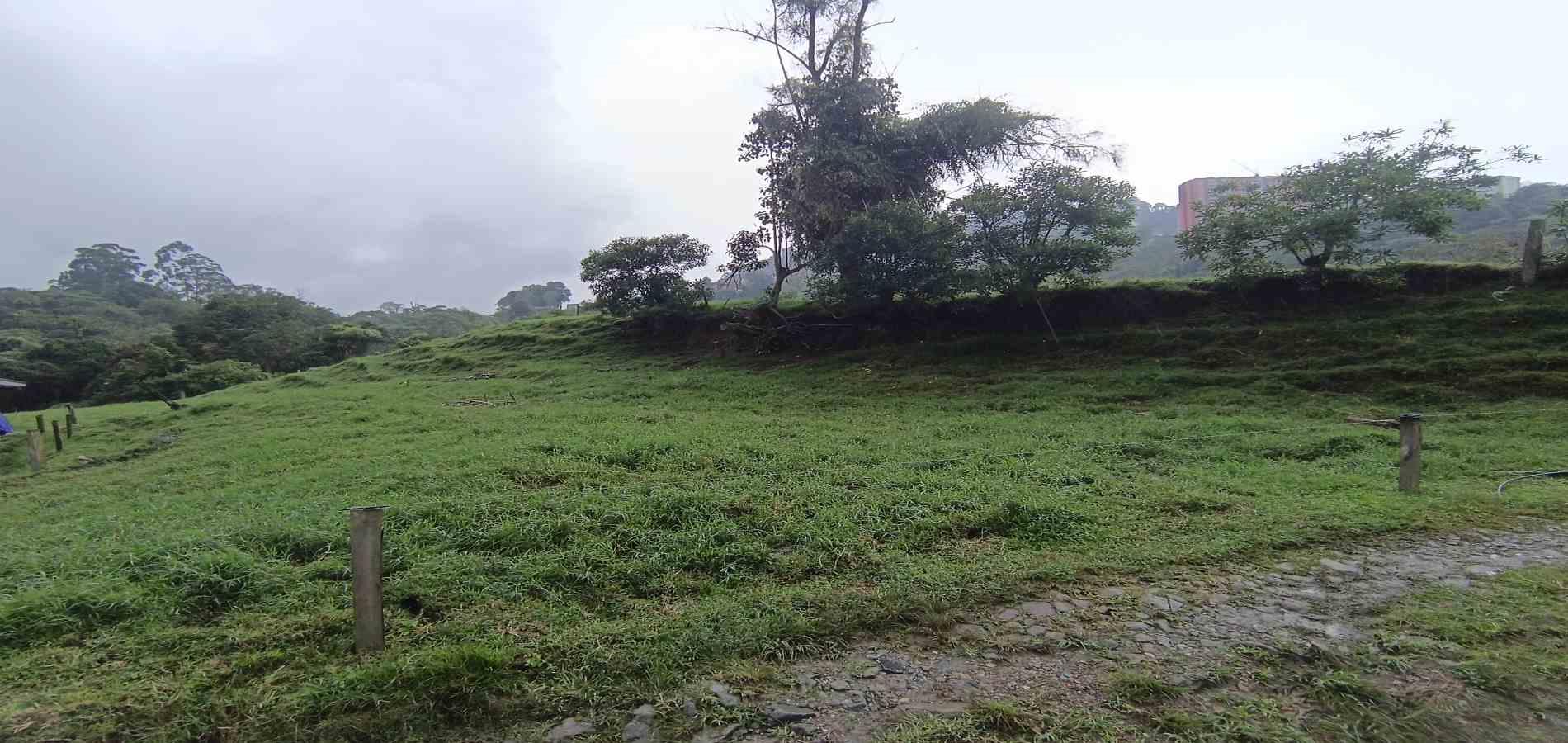 Foto de Finca en Venta en La francia, Manizales - 17 - 279066742
