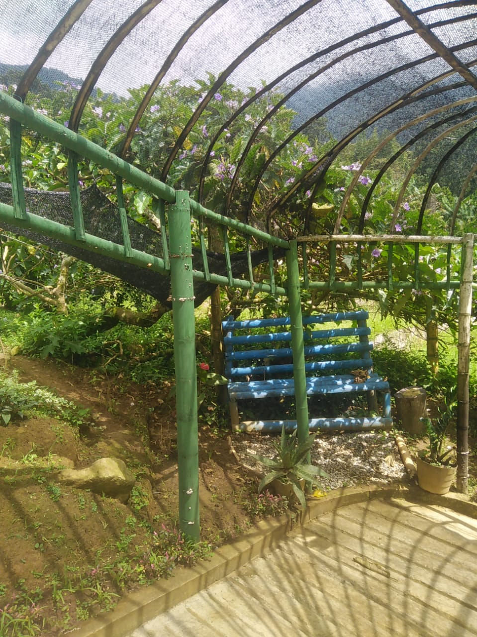 Foto de Finca en Venta en Riosucio, Riosucio - 11 - 279056142