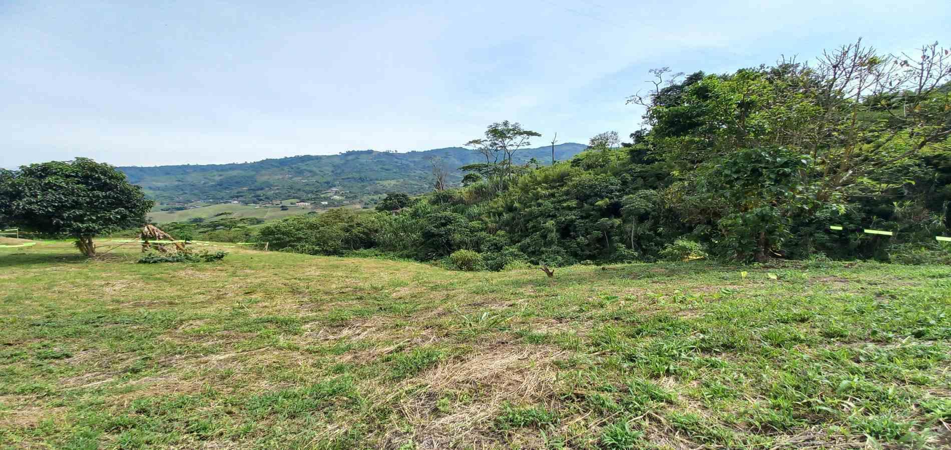 Foto de Lote / terreno en Venta en Combia, Pereira - 5 - 279069589