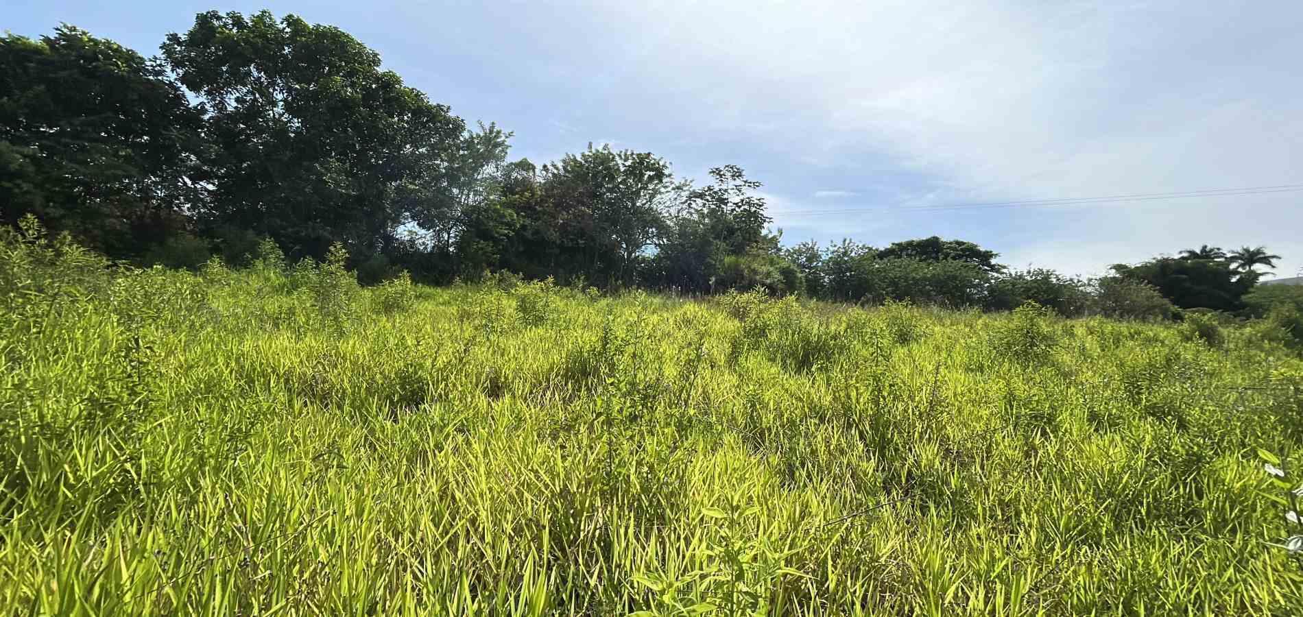 Foto de Lote / terreno en Venta en Cerritos, Pereira - 14 - 279068089