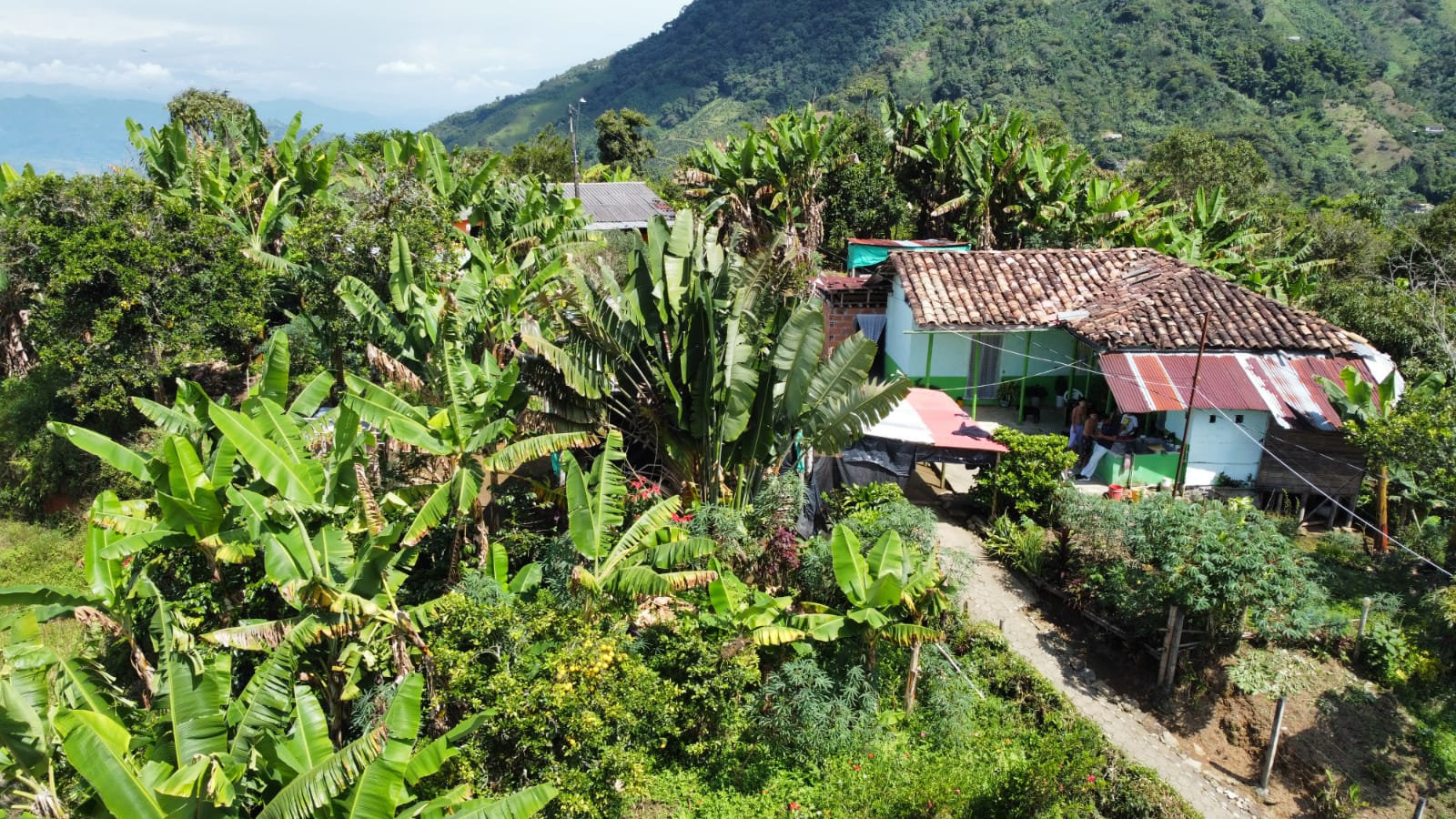 Foto de Finca para Venta en Riosucio, Riosucio - 279069264