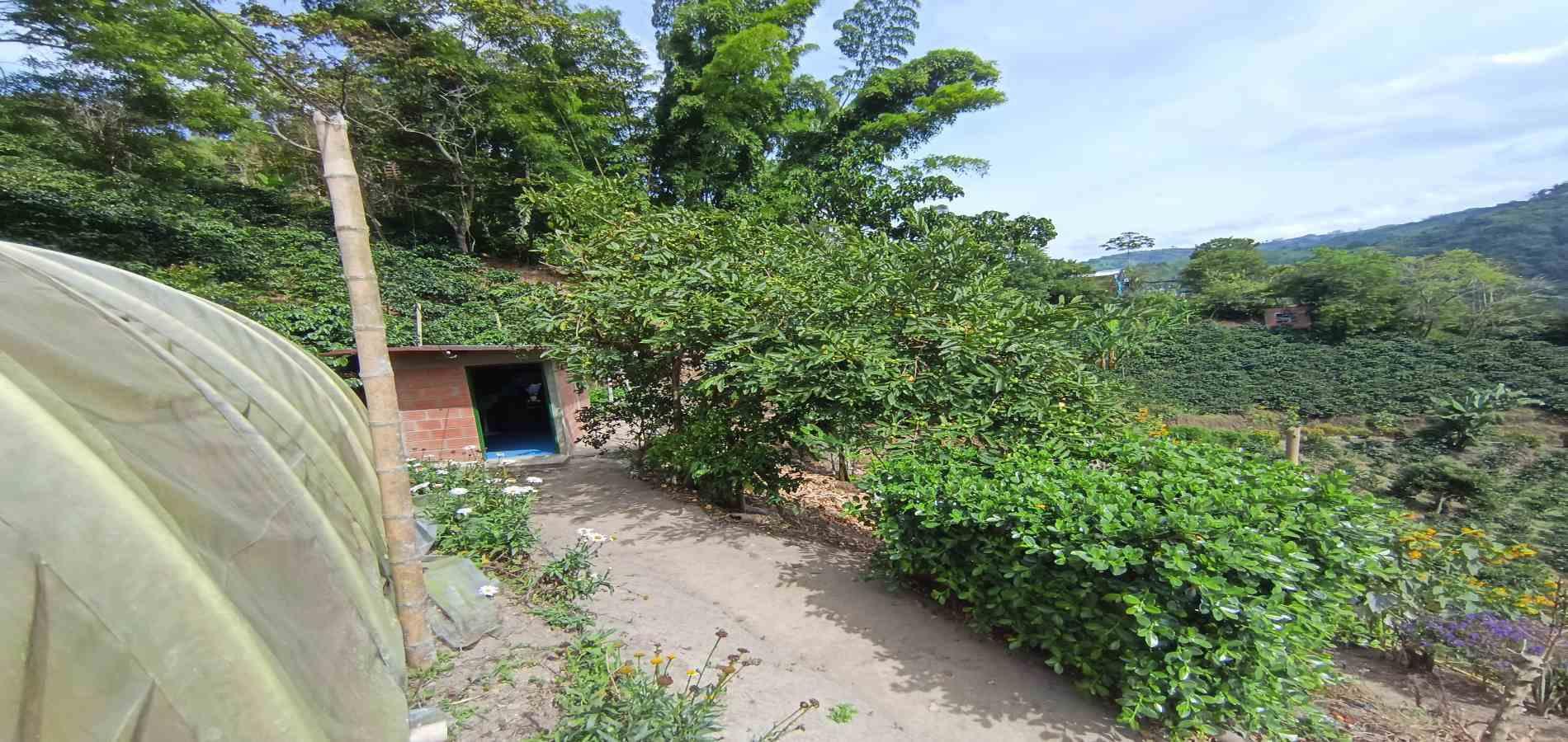 Foto de Finca para Venta en Vereda la palma , Manizales - 279069356