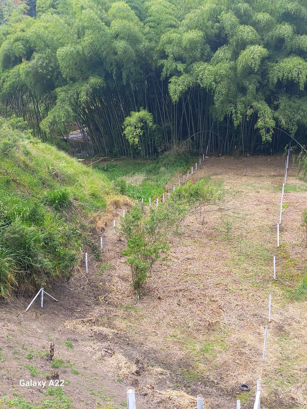 Foto de Lote / terreno en Venta en Morelia, Pereira - 1 - 279063960