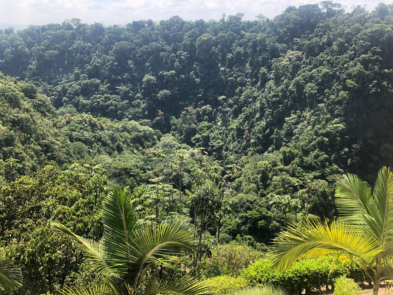 Foto de Apartaestudio en Venta en Cerritos, Pereira - 19 - 279055685