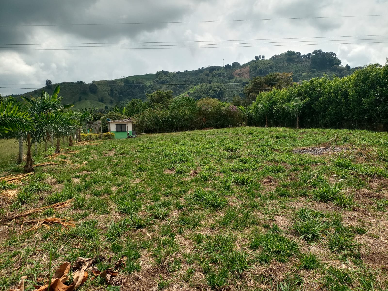 Foto de Lote / terreno en Venta en Santa rosa de cabal, Santa rosa de cabal - 1 - 279059203