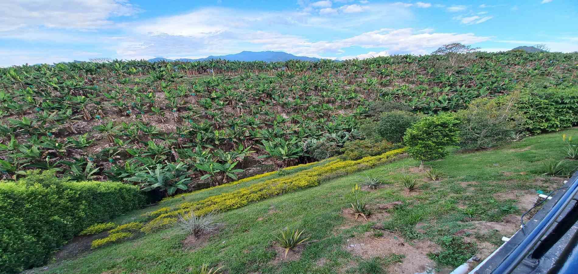 Foto de Casa campestre en Arriendo en Combia, Pereira - 17 - 279067820