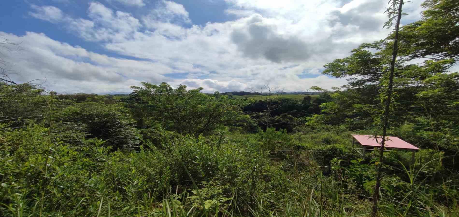 Foto de Lote / terreno en Venta en Cerritos, Pereira - 7 - 279063220