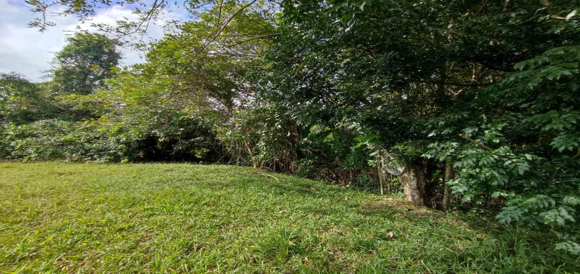 Foto de Lote / terreno en Venta en Centro, Pereira - 2 - 279063216
