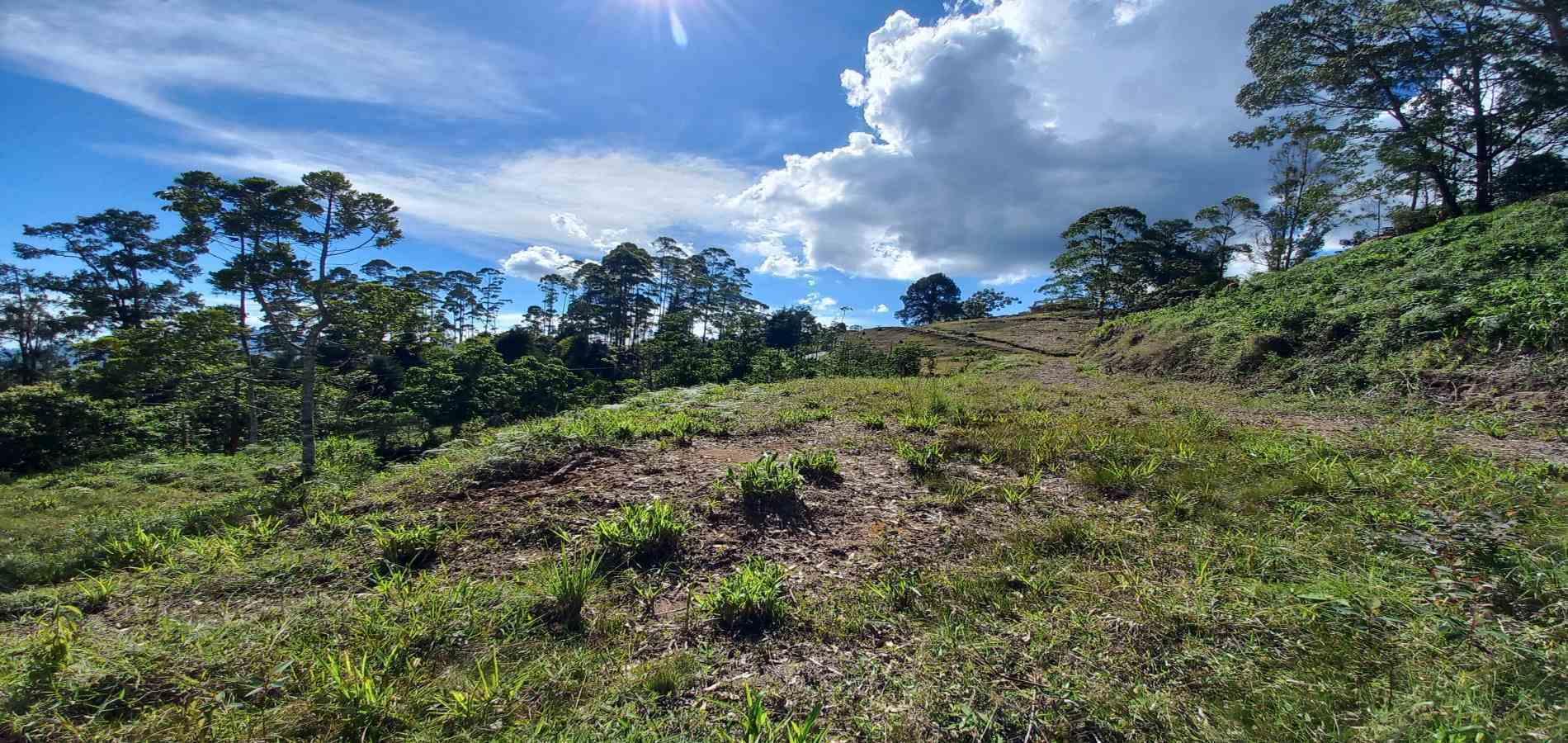 Foto de Lote / terreno en Venta en Otro, Dosquebradas - 2 - 279067985