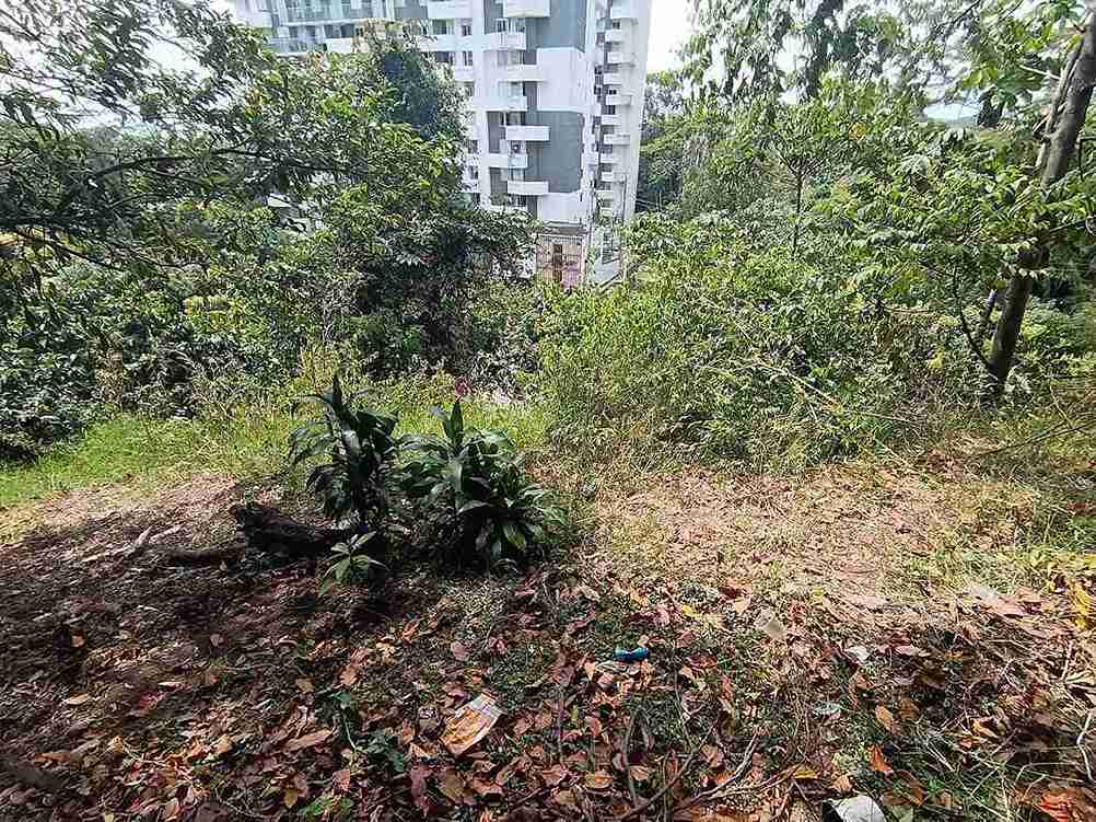 Foto de Lote / terreno en Venta en Avenida 19 norte, Armenia  - 1 - 279058970