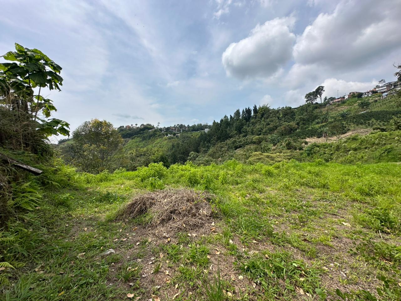 Foto de Lote / terreno en Venta en Arenillo, Manizales - 8 - 279067215