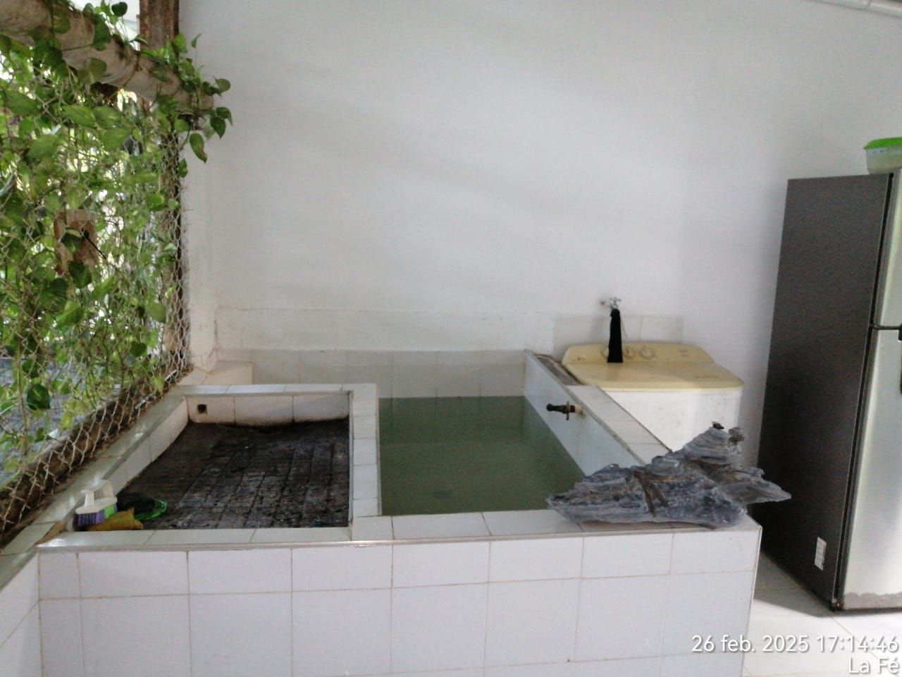 Foto de Finca en Venta en Victoria, Victoria - 24 - 279061622