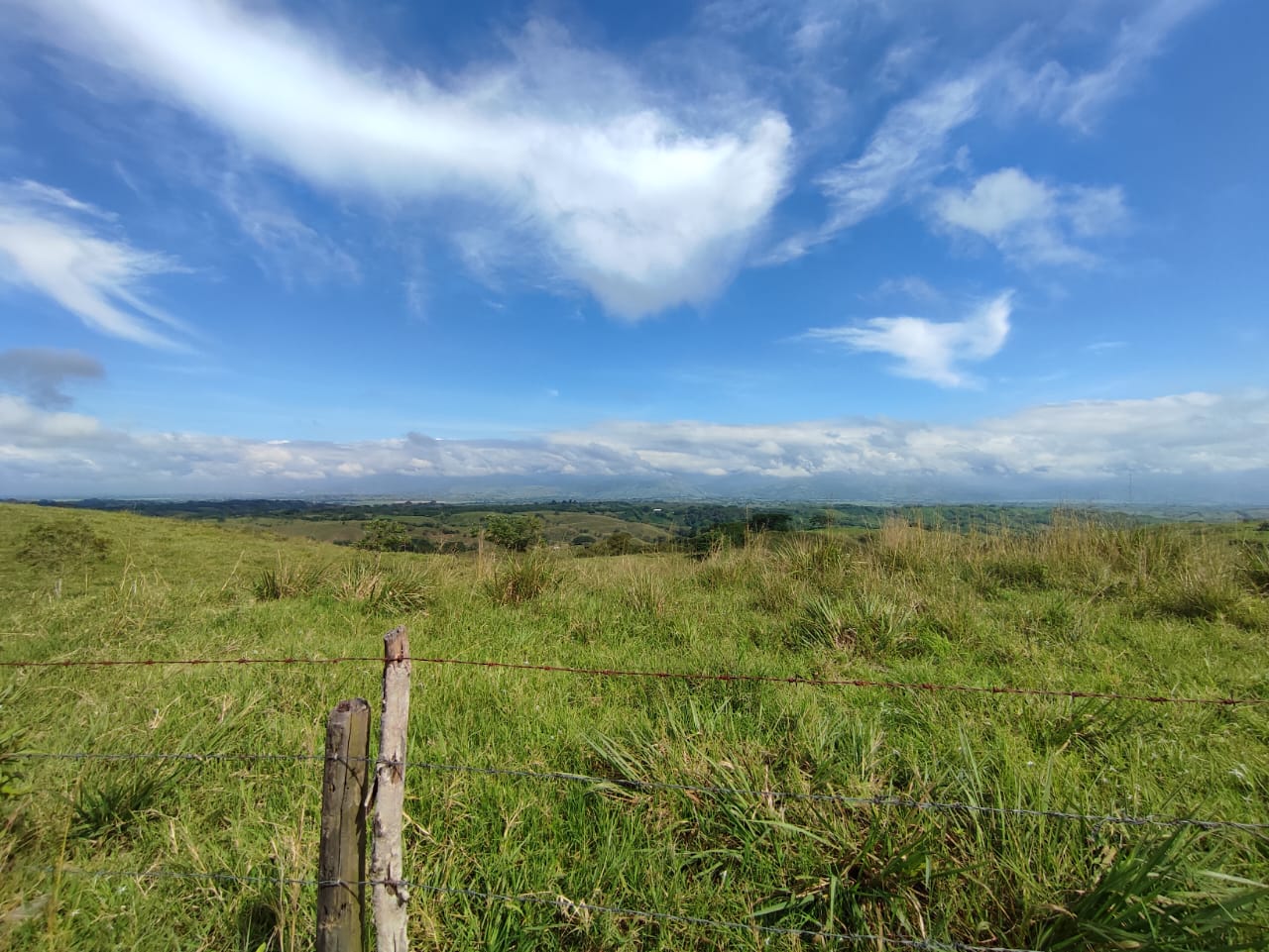 Foto de Lote / terreno en Venta en Centro, Pereira - 3 - 279063218