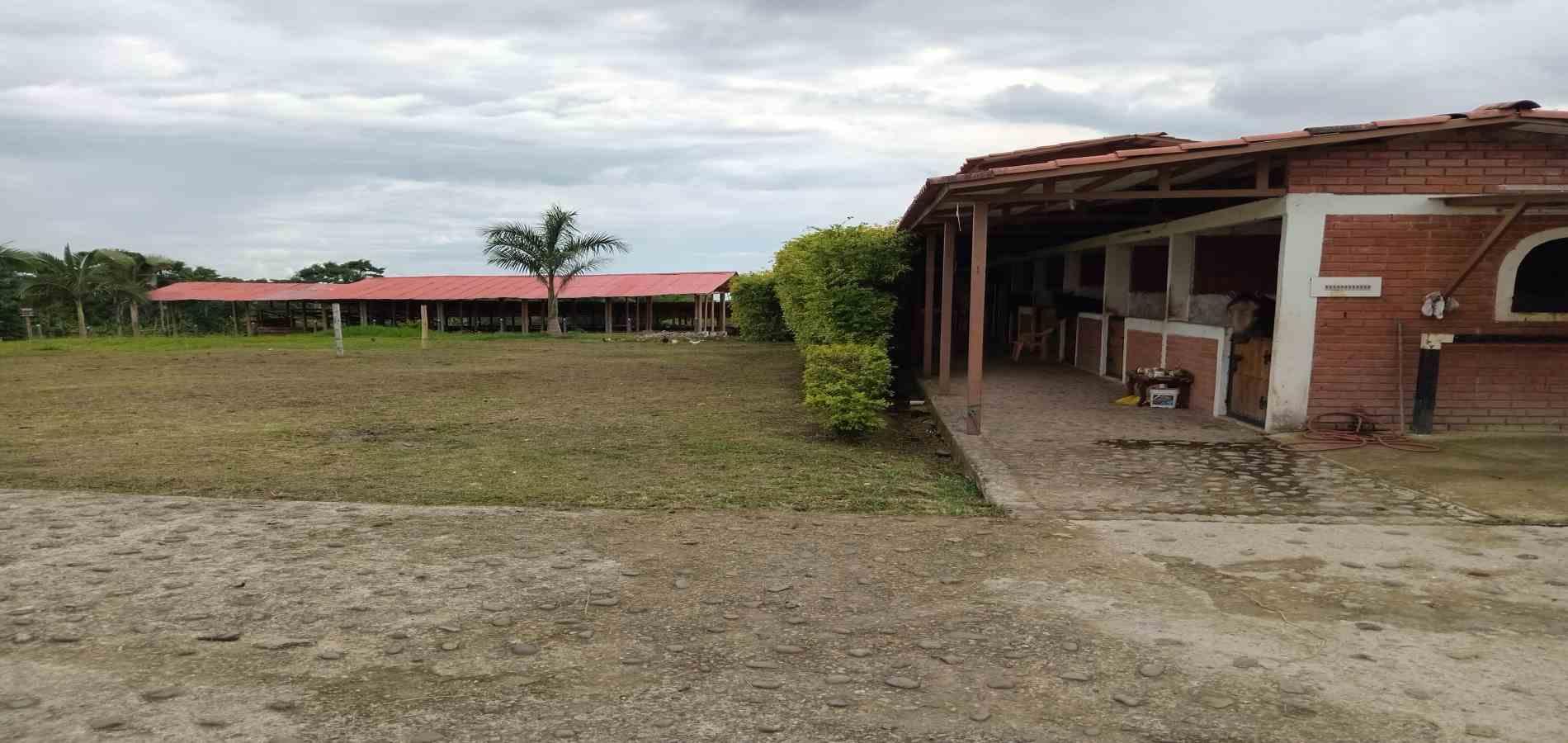 Foto de Finca en Venta en A dos cuadras del parque, Circasia - 16 - 279056832