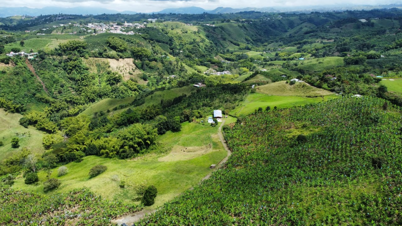 Foto de Finca en Venta en Vereda el placer, Pereira - 1 - 279066578