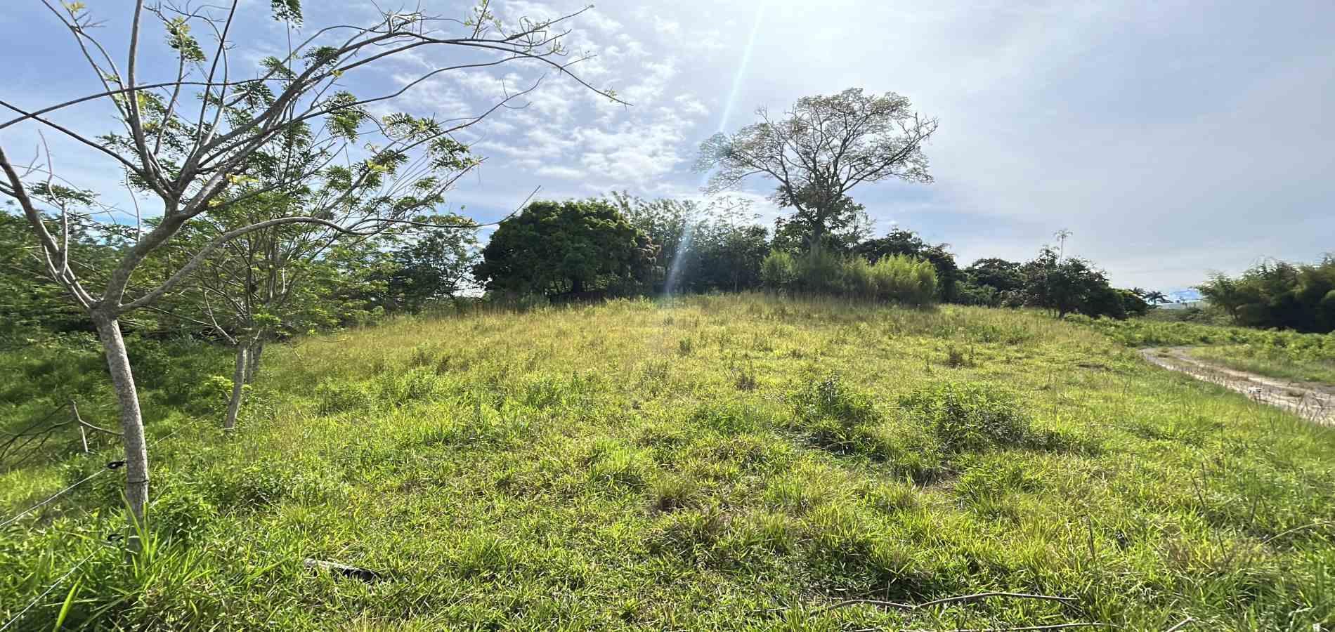 Foto de Lote / terreno en Venta en Cerritos, Pereira - 2 - 279068066