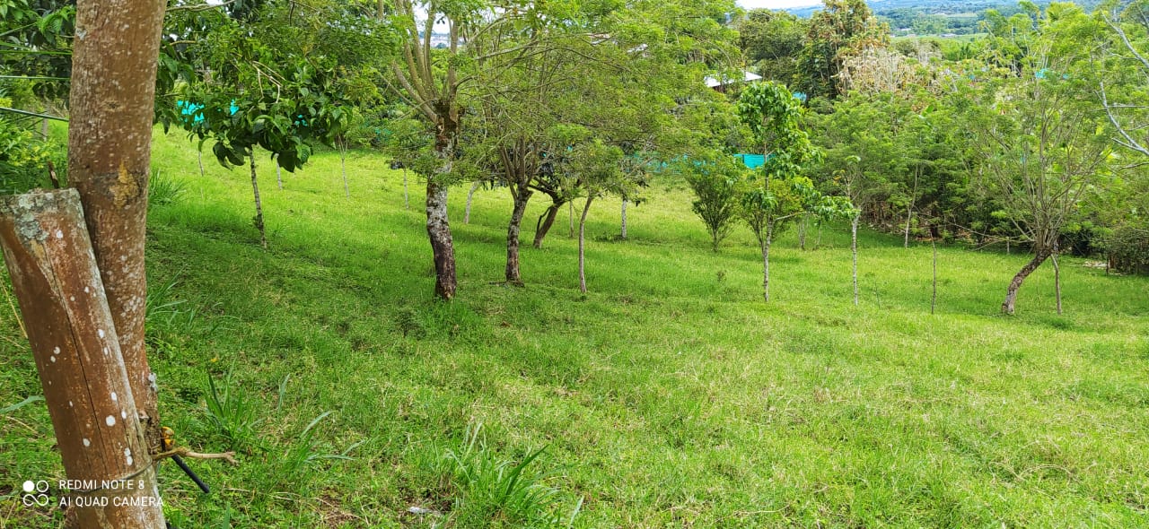 Foto de Lote / terreno en Venta en Altagracia, Pereira - 2 - 279057421