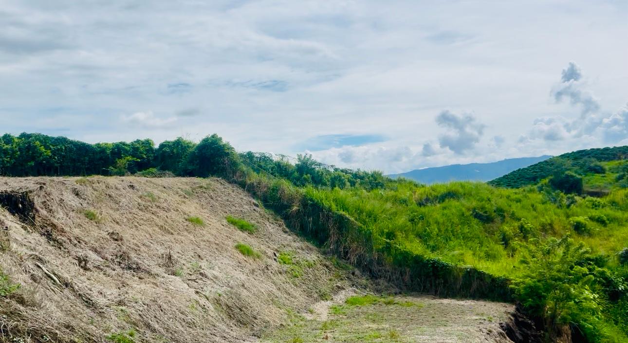 Foto de Lote / terreno en Venta en Sacatin, Manizales - 1 - 279064338