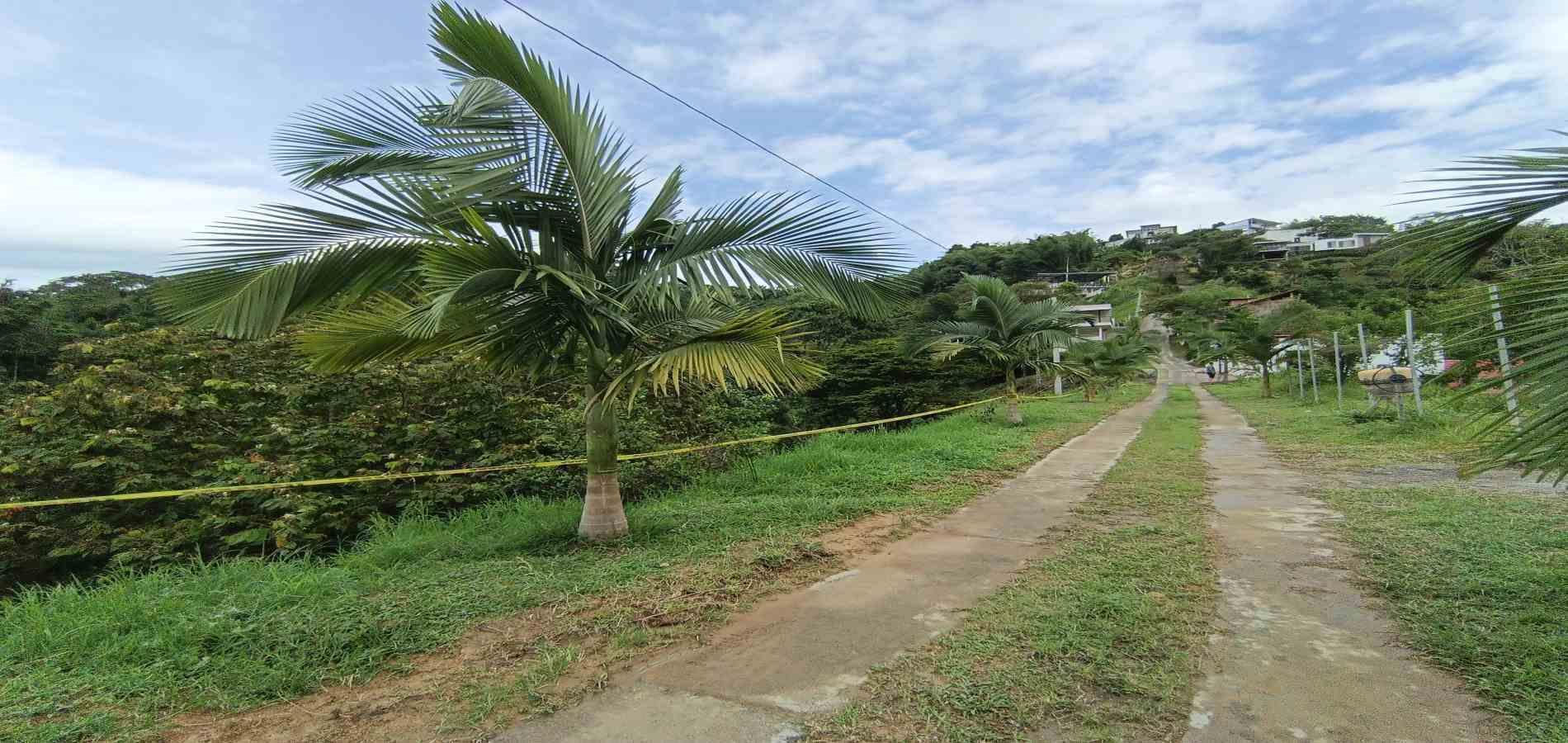 Foto de Lote / terreno en Venta en Vereda minitas , Manizales - 1 - 279068548