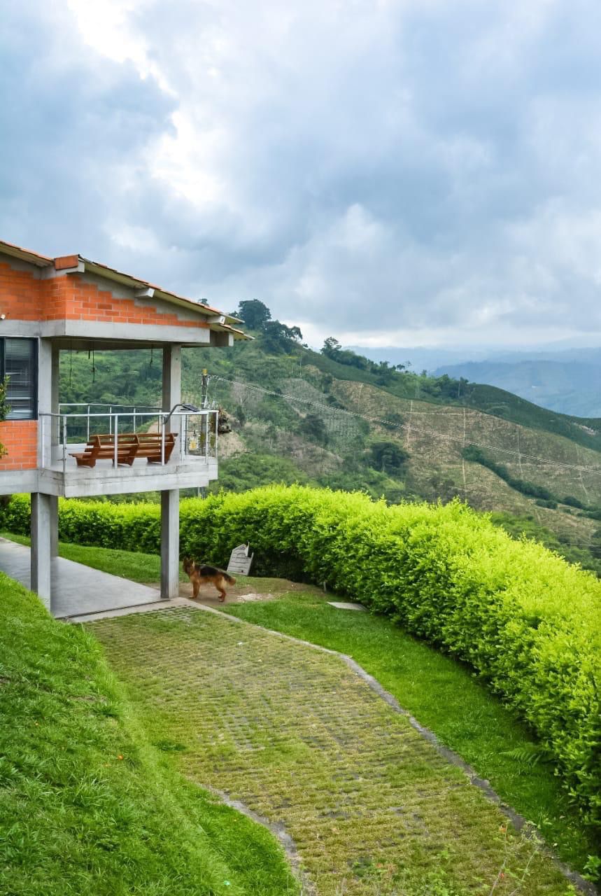Foto de Casa campestre en Arriendo en Curasao, Palestina - 23 - 279059917