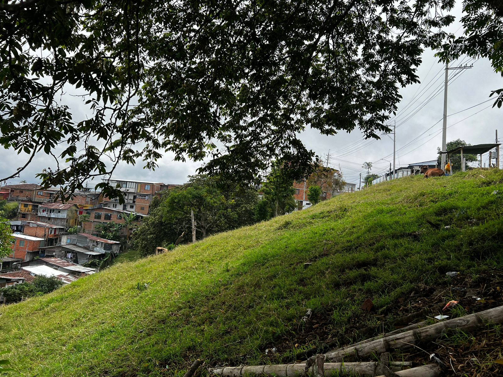 Foto de Lote / terreno en Venta en Altagracia, Pereira - 12 - 279056515