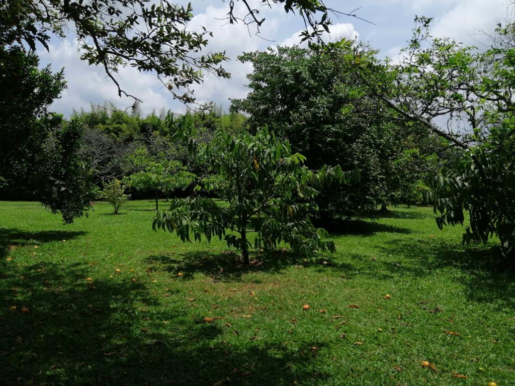 Foto de Lote / terreno en Venta en Cerritos, Pereira - 8 - 279025576