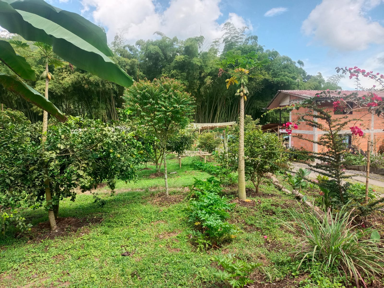 Foto de Finca en Venta en Centro, Santa rosa de cabal - 5 - 279052730