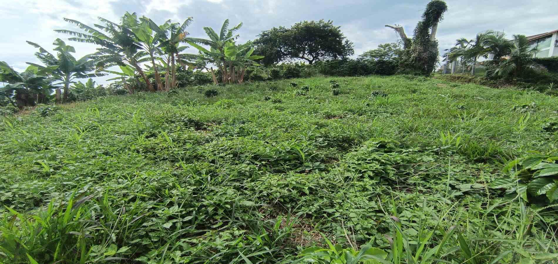 Foto de Lote / terreno en Venta en San peregrino, Manizales - 17 - 279068552