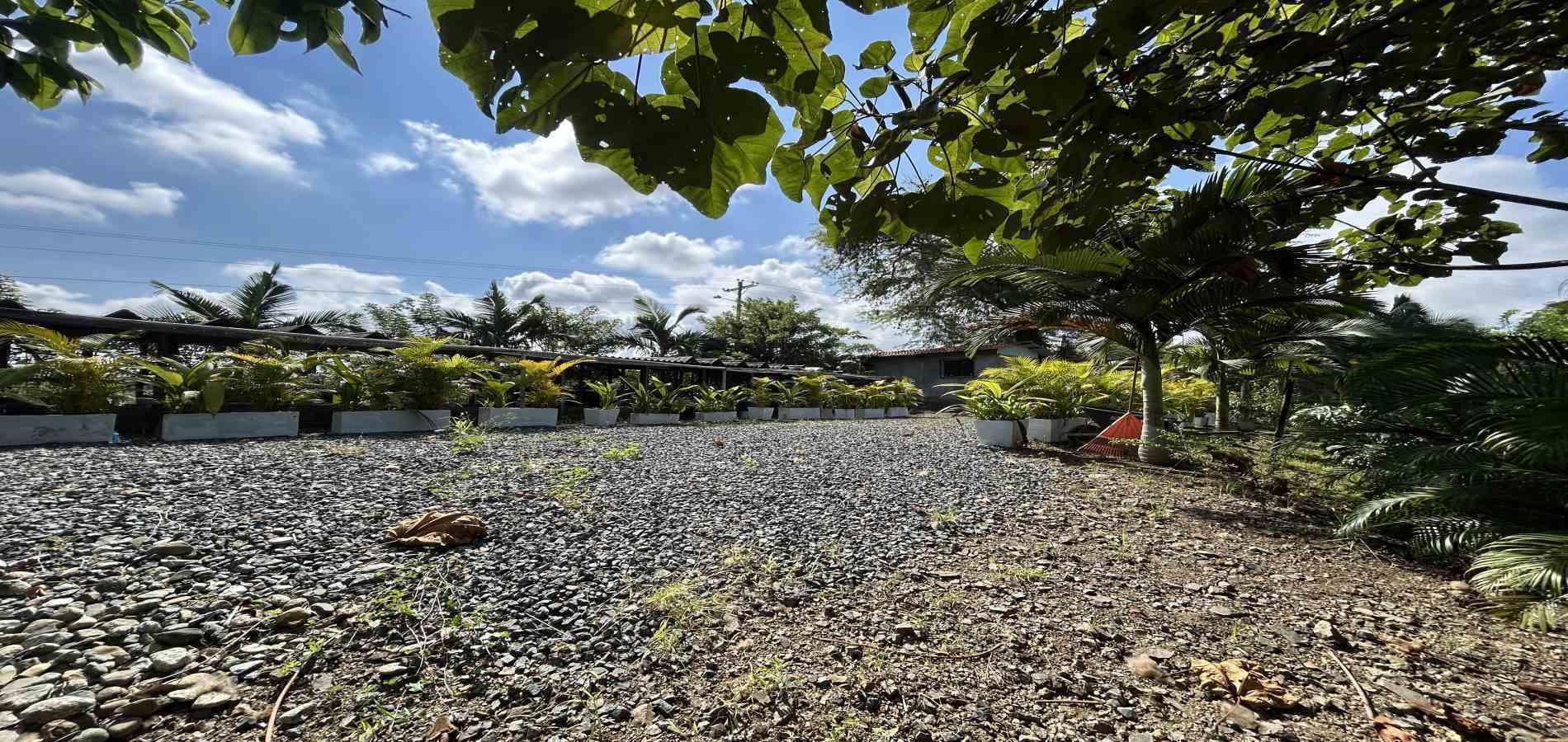 Foto de Lote / terreno en Venta en Cerritos, Pereira - 4 - 279068246