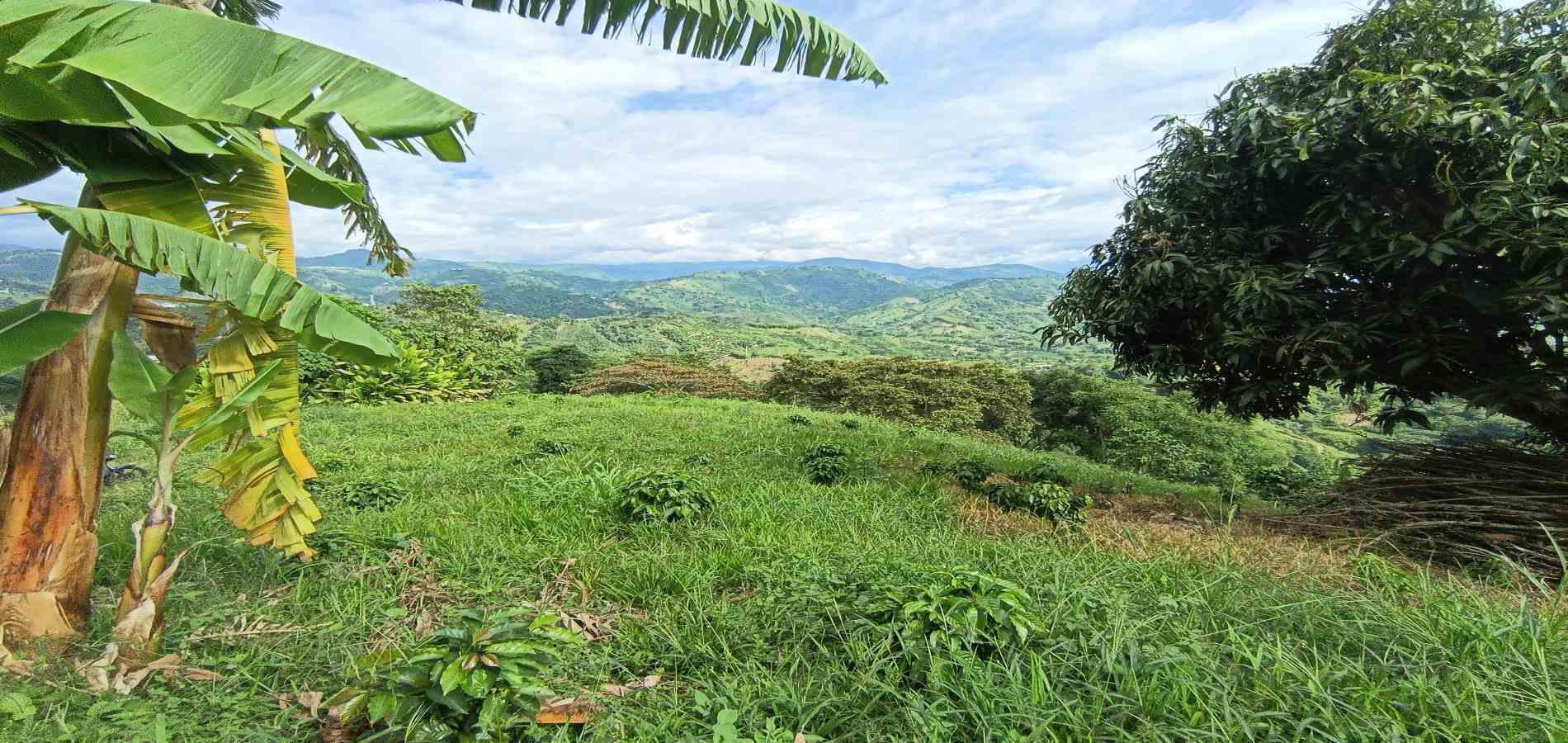 Foto de Lote / terreno en Venta en San peregrino, Manizales - 14 - 279068552