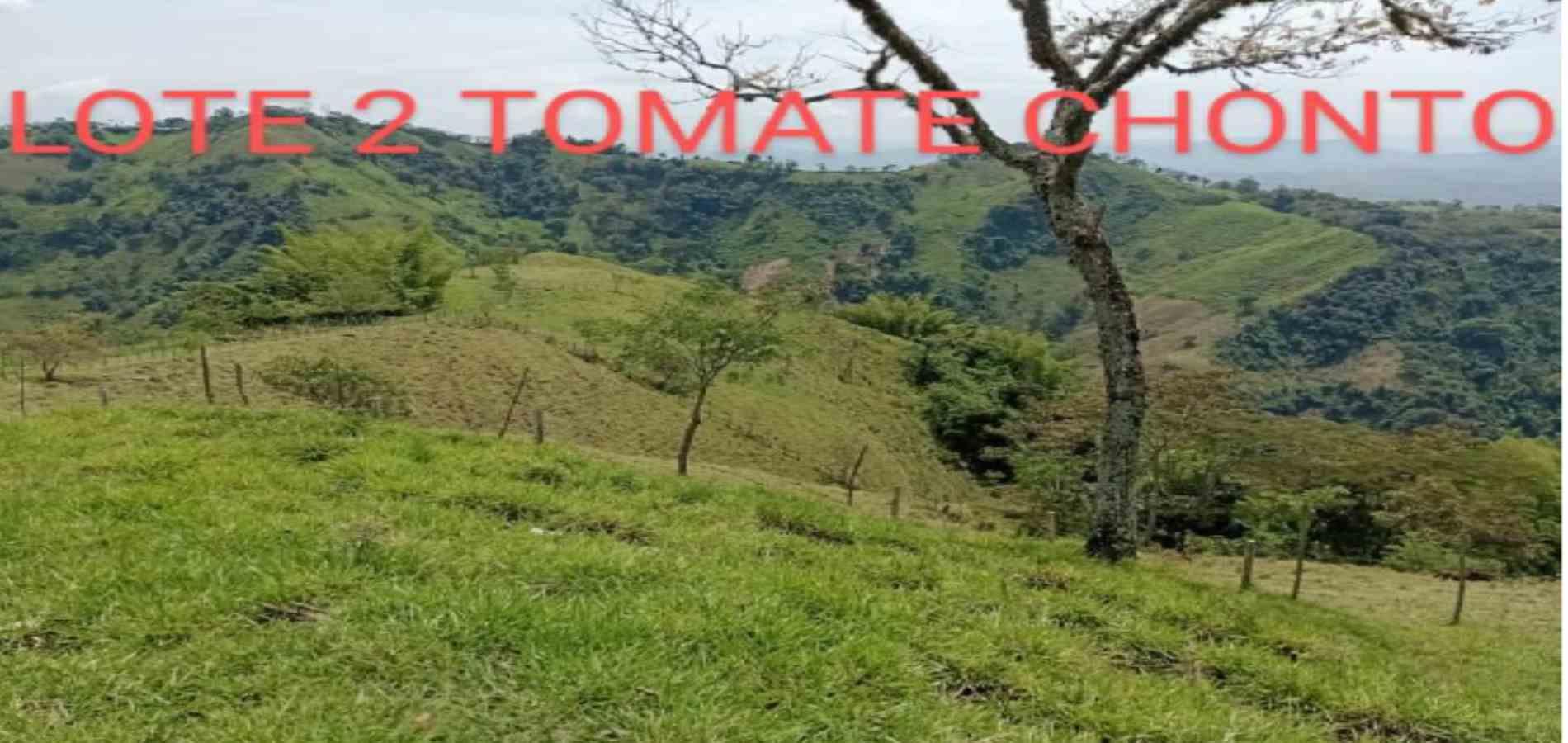 Foto de Lote / terreno en Venta en Vereda armenia , Neira - 10 - 279026013