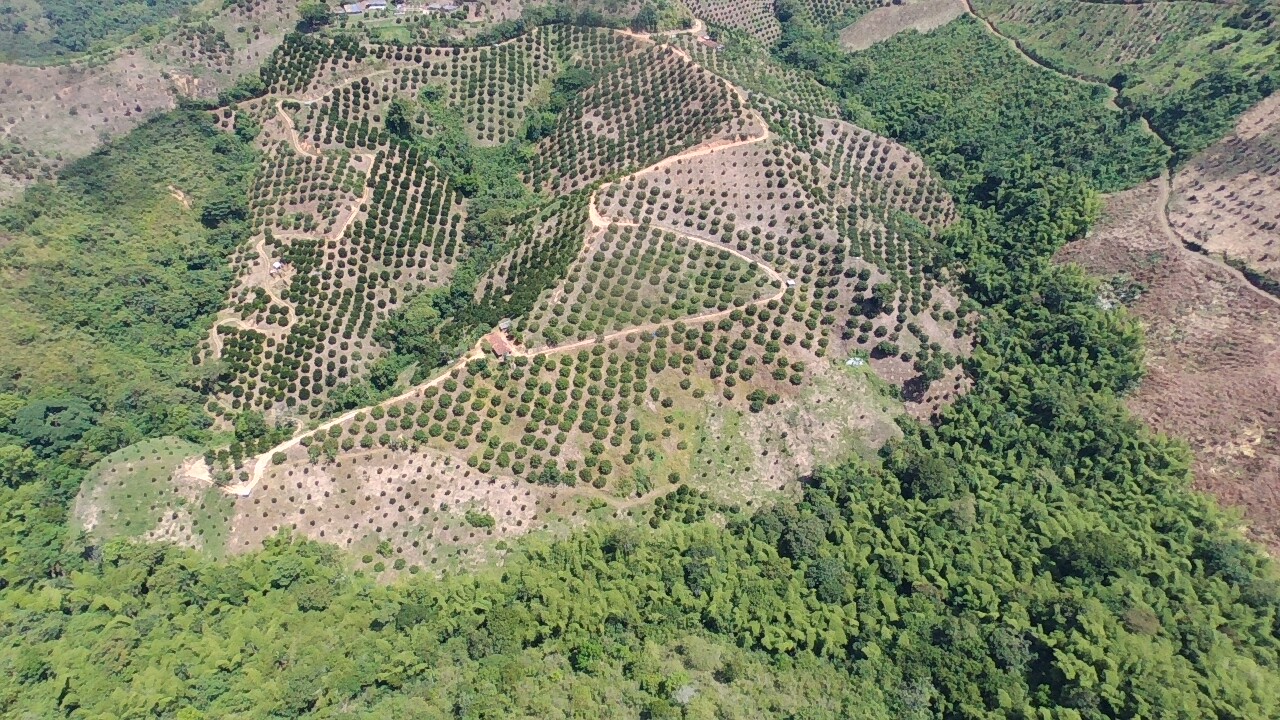 Foto de Finca para Venta en Vereda tambores - balboa, Pereira - 279070307