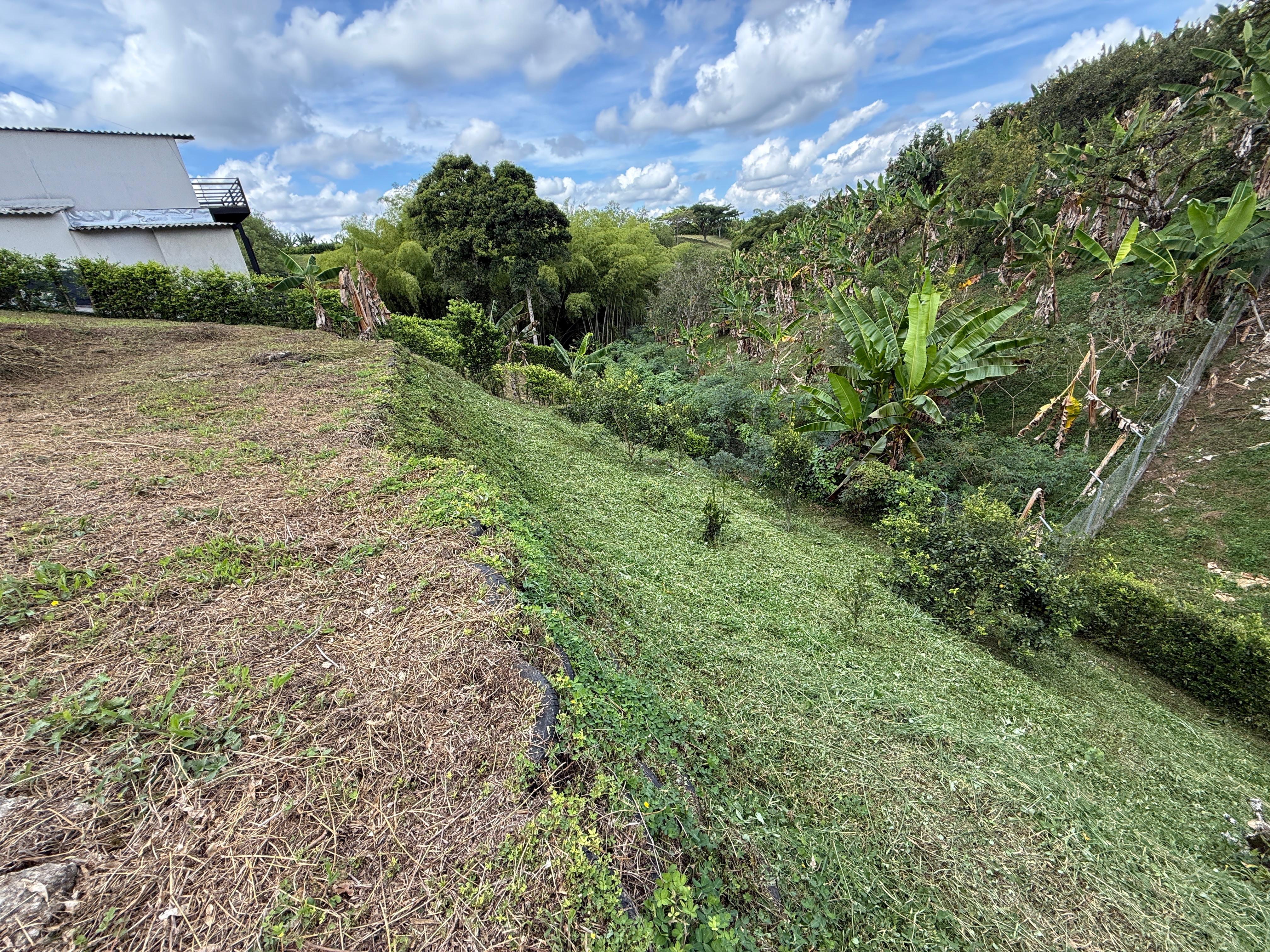 Foto de Lote / terreno en Venta en Altagracia, Pereira - 6 - 279063993