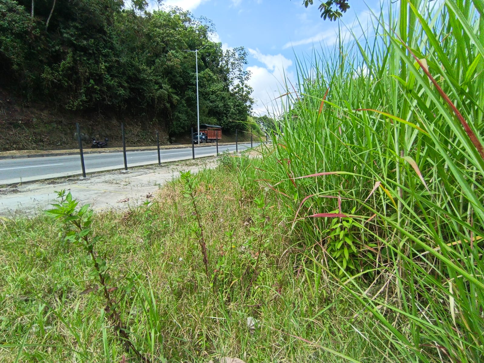 Foto de Lote / terreno en Venta en Panamericana, Manizales - 10 - 279063718