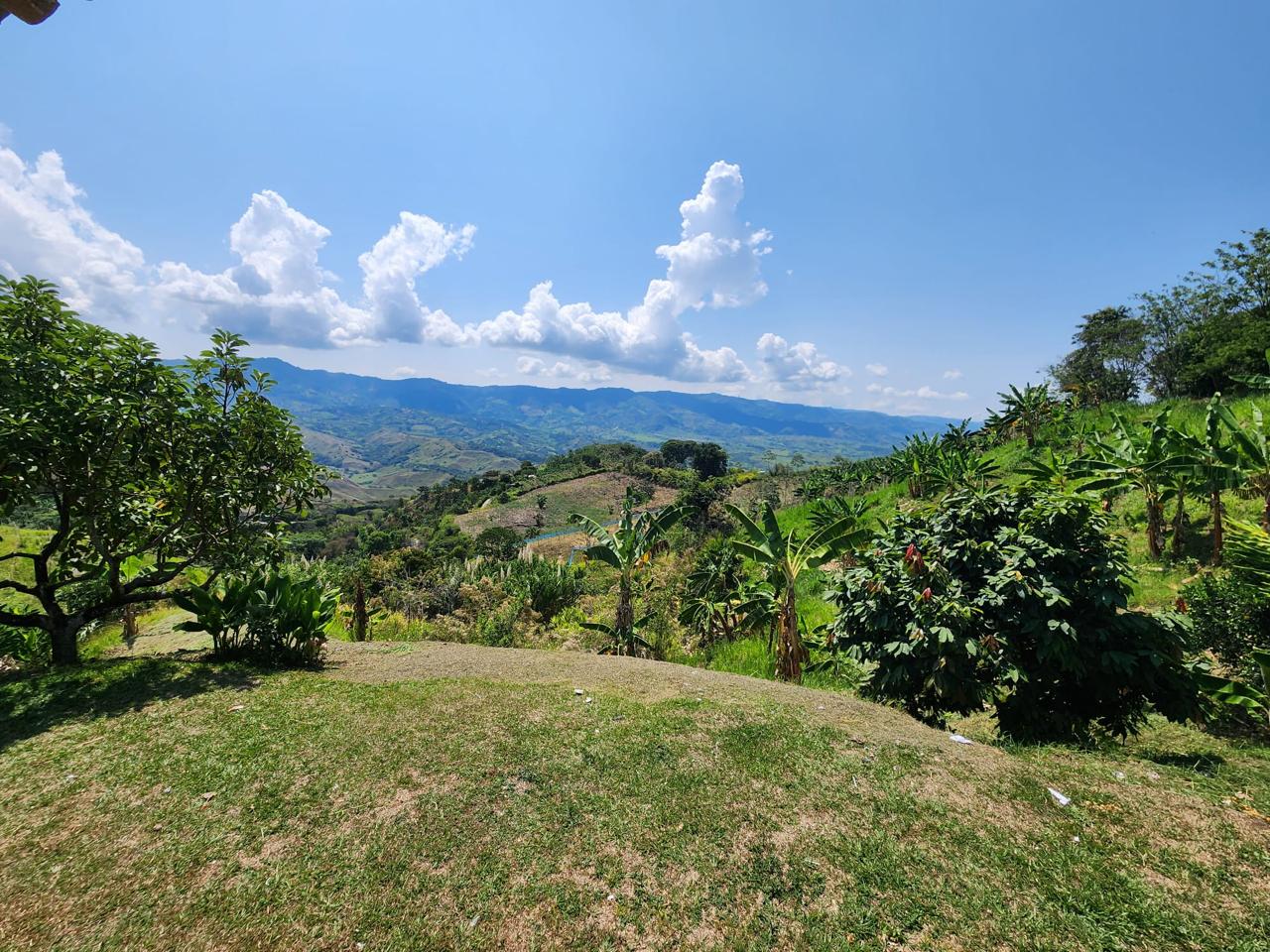 Foto de Finca en Venta en Barrio villa hermosa 2 y robelio suarez, Belen de umbria - 4 - 279056358