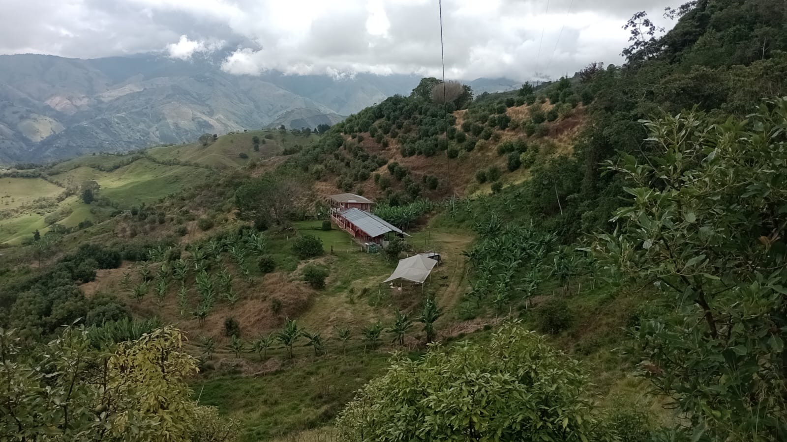 Foto de Finca en Venta en Vereda portochelo, Salamina - 1 - 279066973