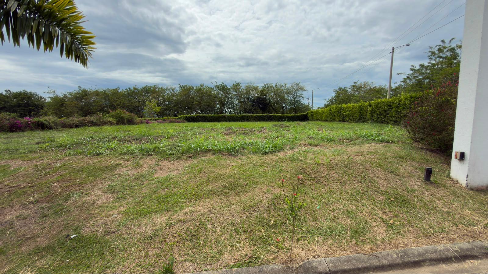 Foto de Lote / terreno en Venta en Centro, Pereira - 3 - 279069765