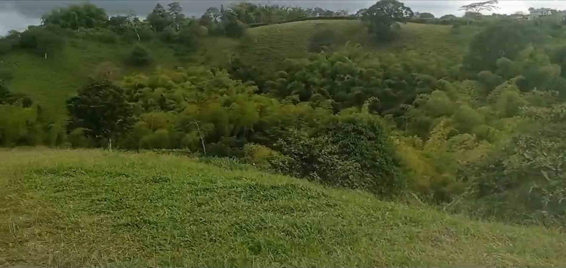 Foto de Lote / terreno en Venta en Circasia, Circasia - 1 - 279065193