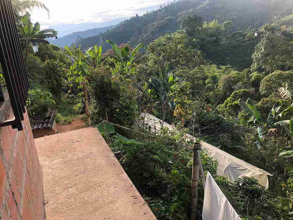 Foto de Finca en Venta en Combia, Pereira - 2 - 279052850