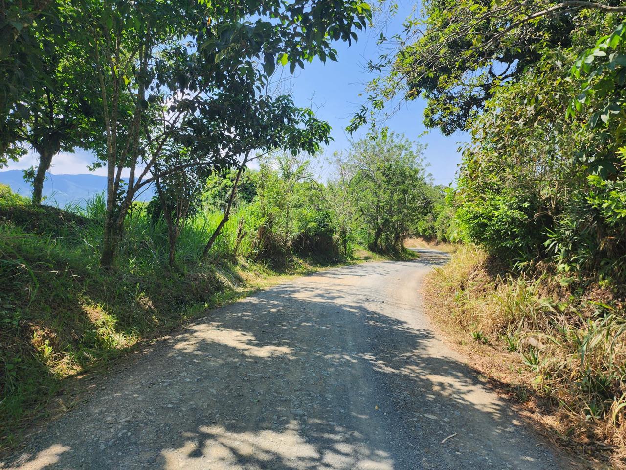 Foto de Finca en Venta en Barrio villa hermosa 2 y robelio suarez, Belen de umbria - 5 - 279056358