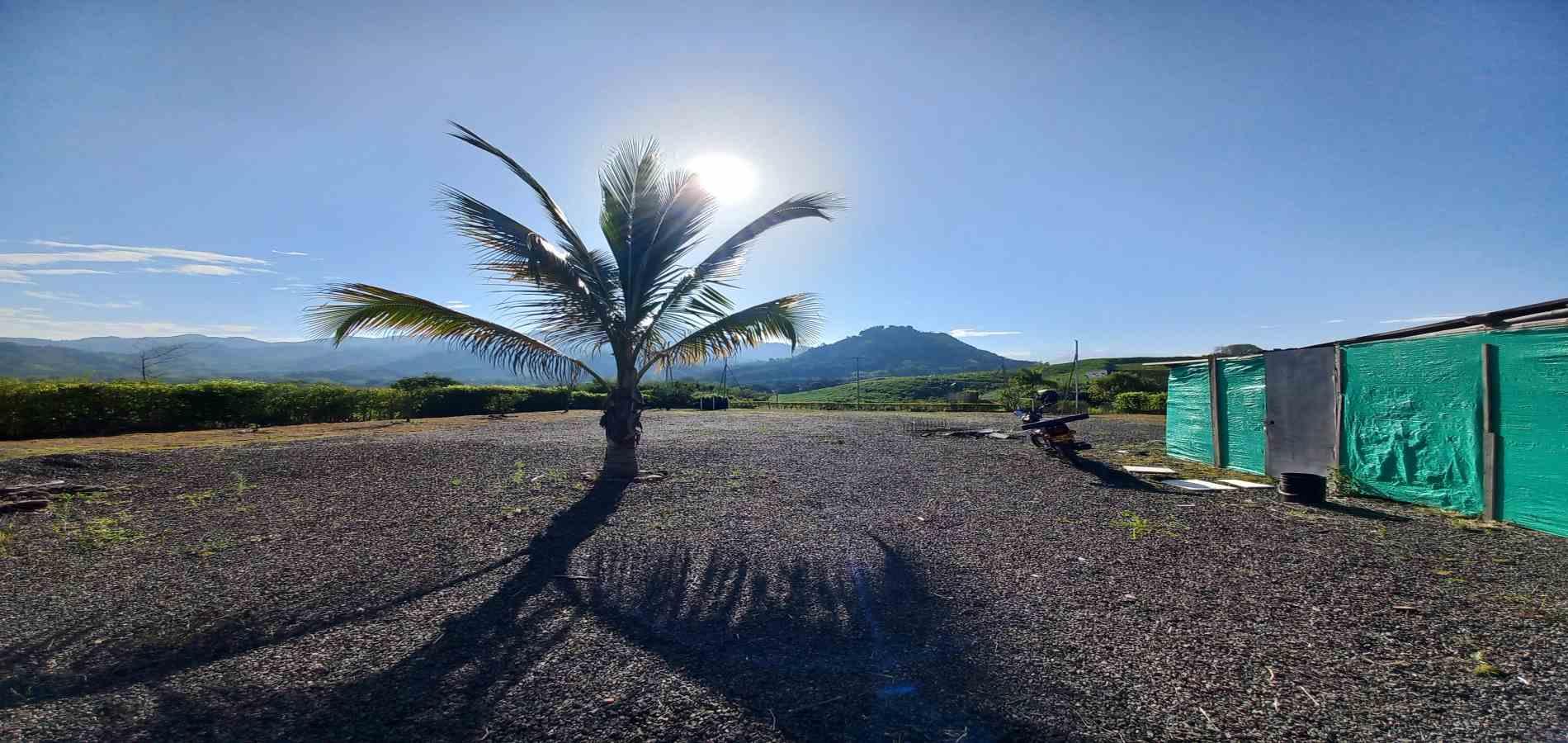 Foto de Lote / terreno en Venta en Combia, Pereira - 15 - 279069016