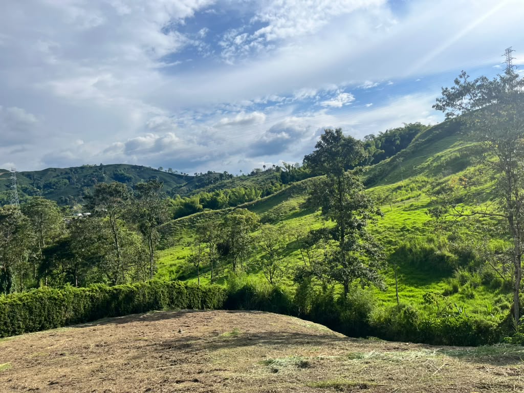 Foto de Lote / terreno en Venta en La muleta, Palestina - 1 - 279069585