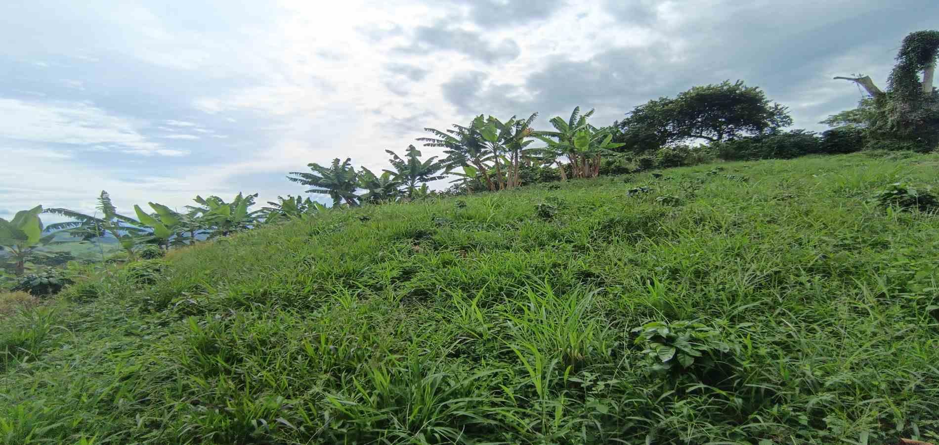 Foto de Lote / terreno en Venta en San peregrino, Manizales - 13 - 279068552