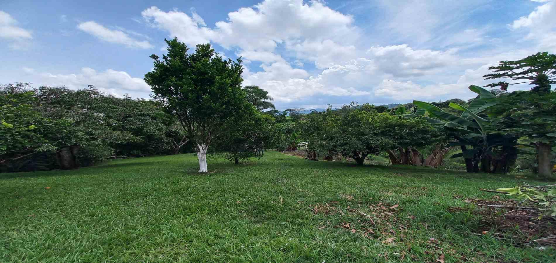 Foto de Casa campestre en Venta en Mundo nuevo, Pereira - 11 - 279068410